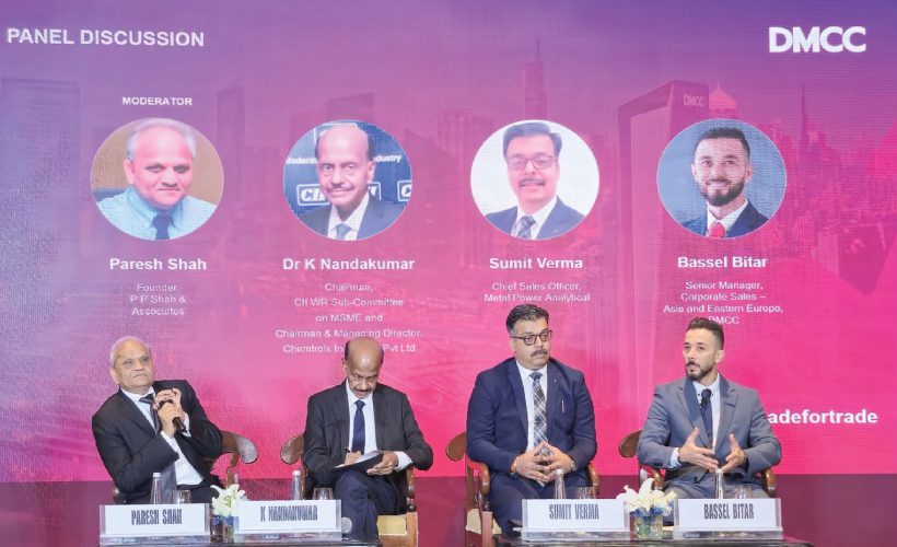 http://Panel%20Participation%20at%20DMCC%20Event